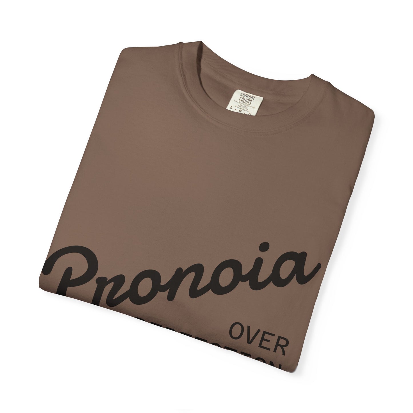 Pronoia over Perfection Tee