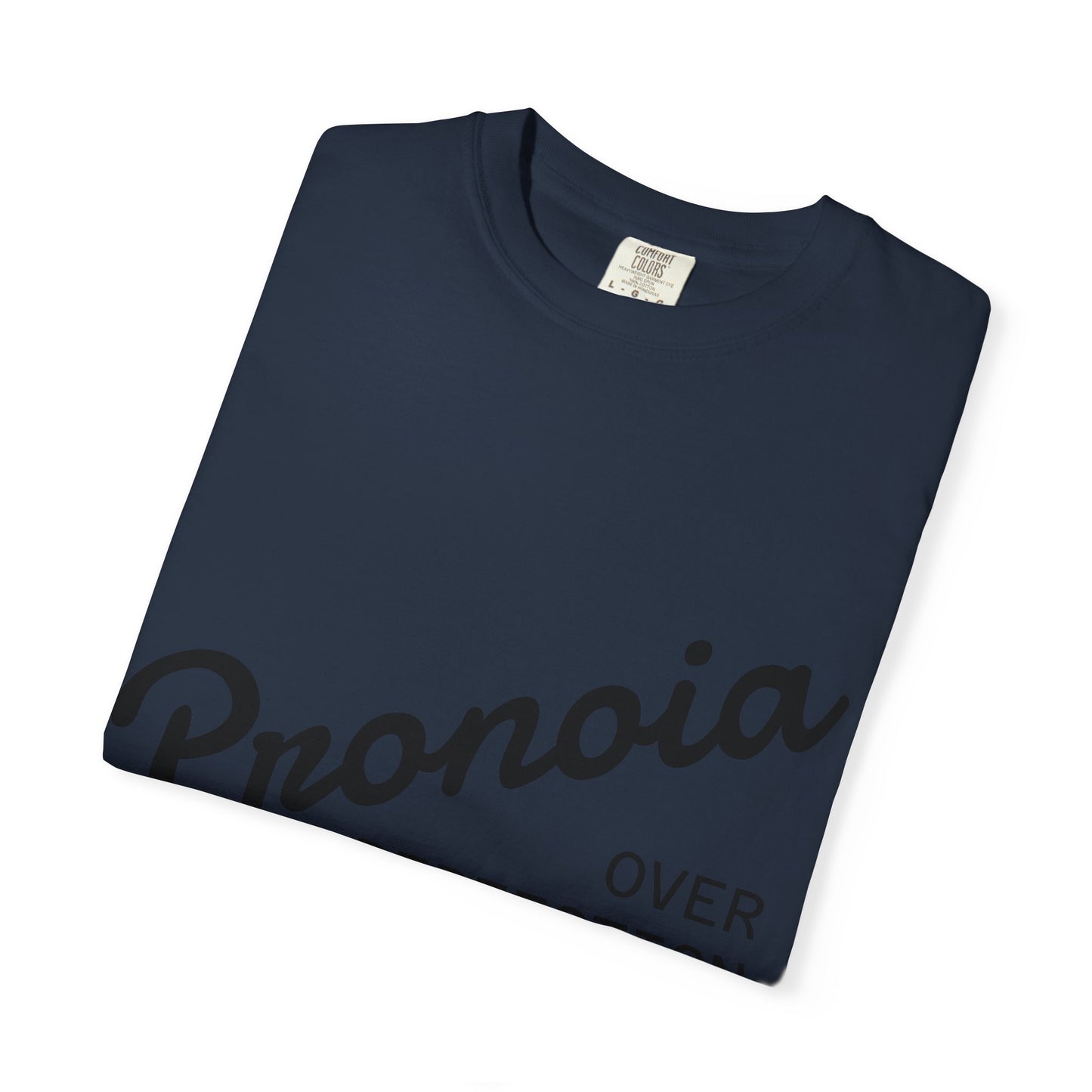 Pronoia over Perfection Tee