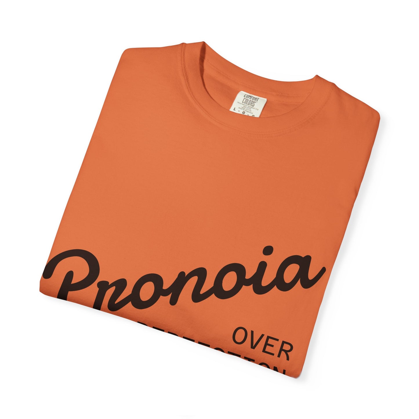 Pronoia over Perfection Tee