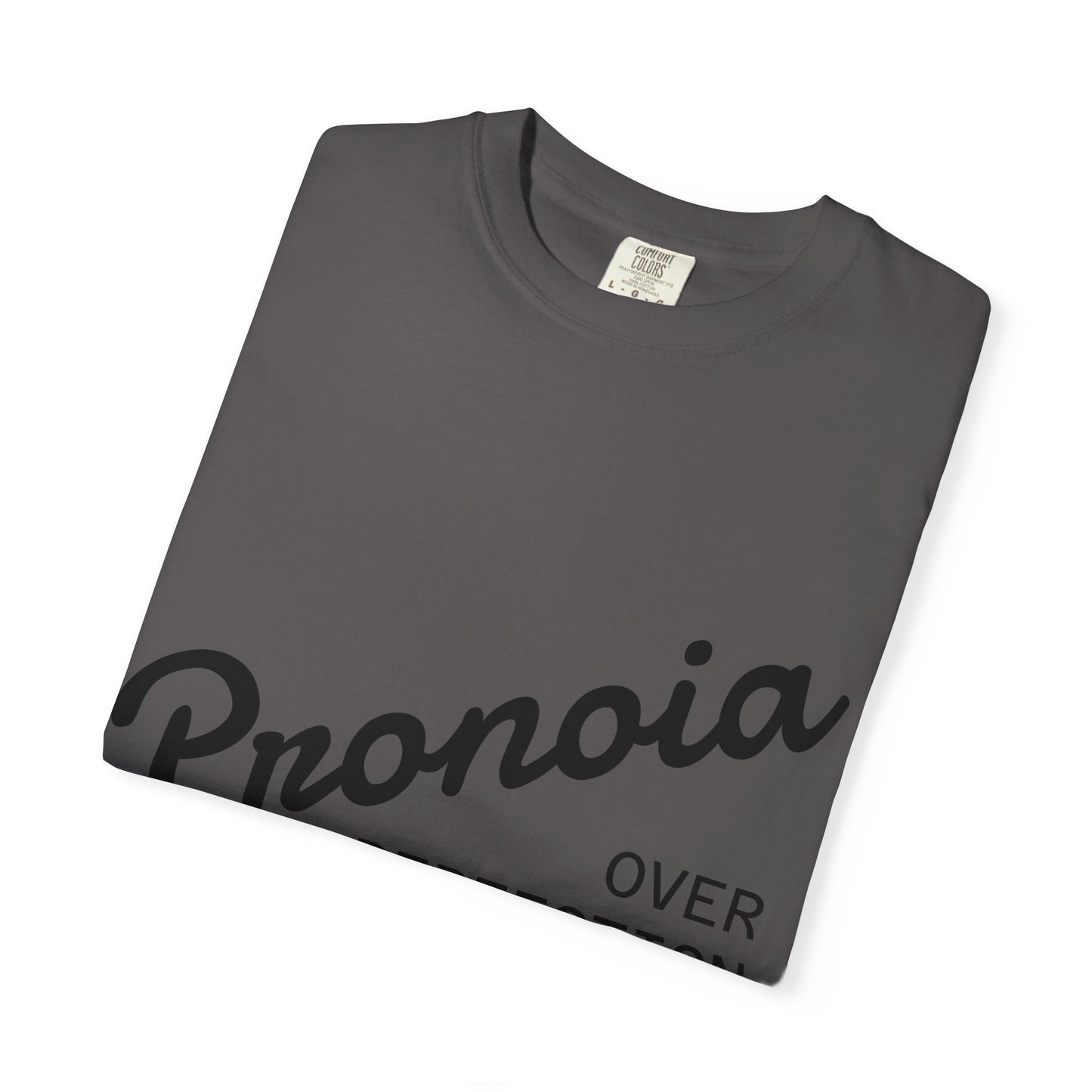 Pronoia over Perfection Tee