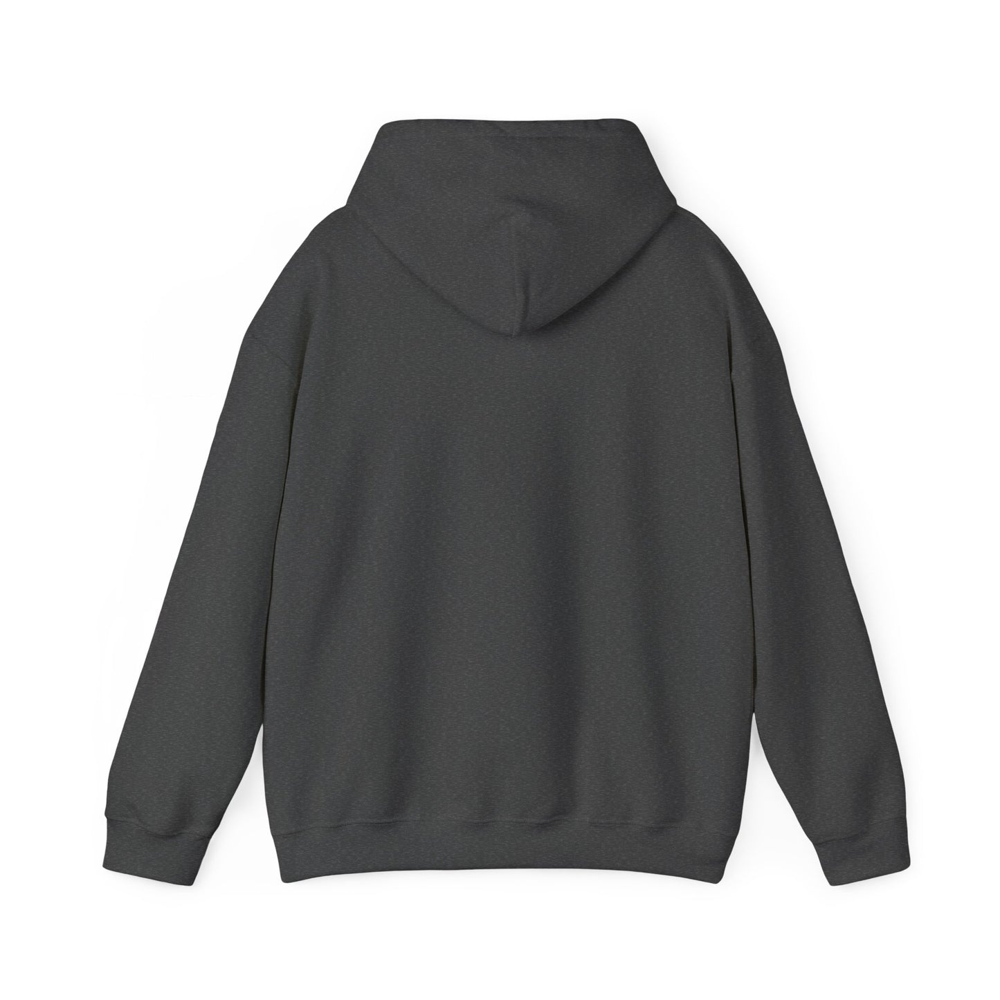 BLK History Life Hoodie