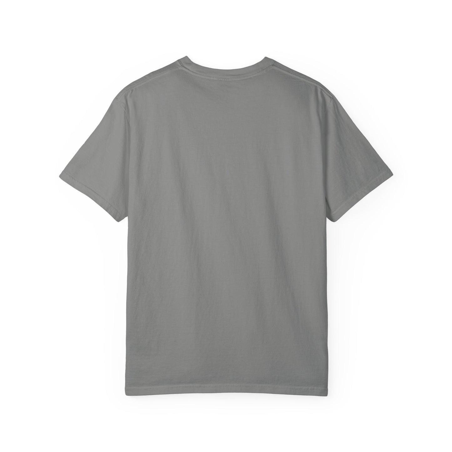 Back view of gray Ra Element T-Shirt. Plain rear on soft cotton fabric, perfect for casual and unisex fashion.