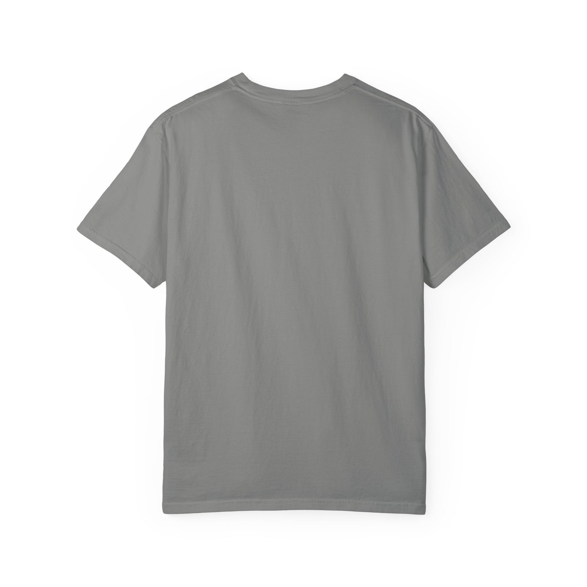 Back view of gray Ra Element T-Shirt. Plain rear on soft cotton fabric, perfect for casual and unisex fashion.